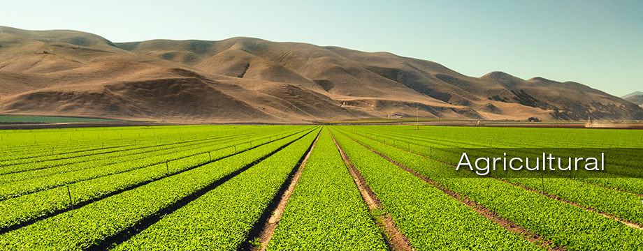 Sprinkler Irrigation